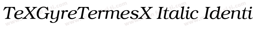 TeXGyreTermesX Italic Identity H字体转换